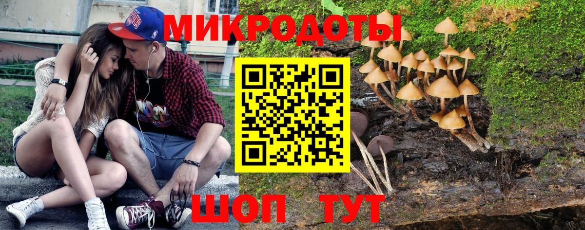 Чусовой  Галлюциногенные грибы Magic Shrooms  Вход с VPN 