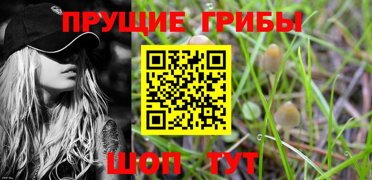 Галлюциногенные грибы Psilocybine cubensis Чусовой